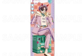 TVアニメ『ウィンドブレイカー (ウィンブレ)』 【でびデコパーカー】 B2半裁タペストリー【蘇枋 隼飛】
 
2026年02月下旬発売