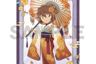 名探偵コナン シングルクリアファイル 灰原哀 秋の華和装
 
2026年01月発売