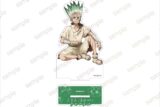 【Dr.STONE】 アクリルスタンド【エテルノレシ】
 アニメイトで
2026年03月発売