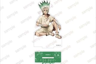 【Dr.STONE】 アクリルスタンド【エテルノレシ】
 アニメイトで
2026年03月発売