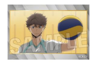 ハイキュー!! スタパネ ミニ vol.9 11
 
2025年11月発売