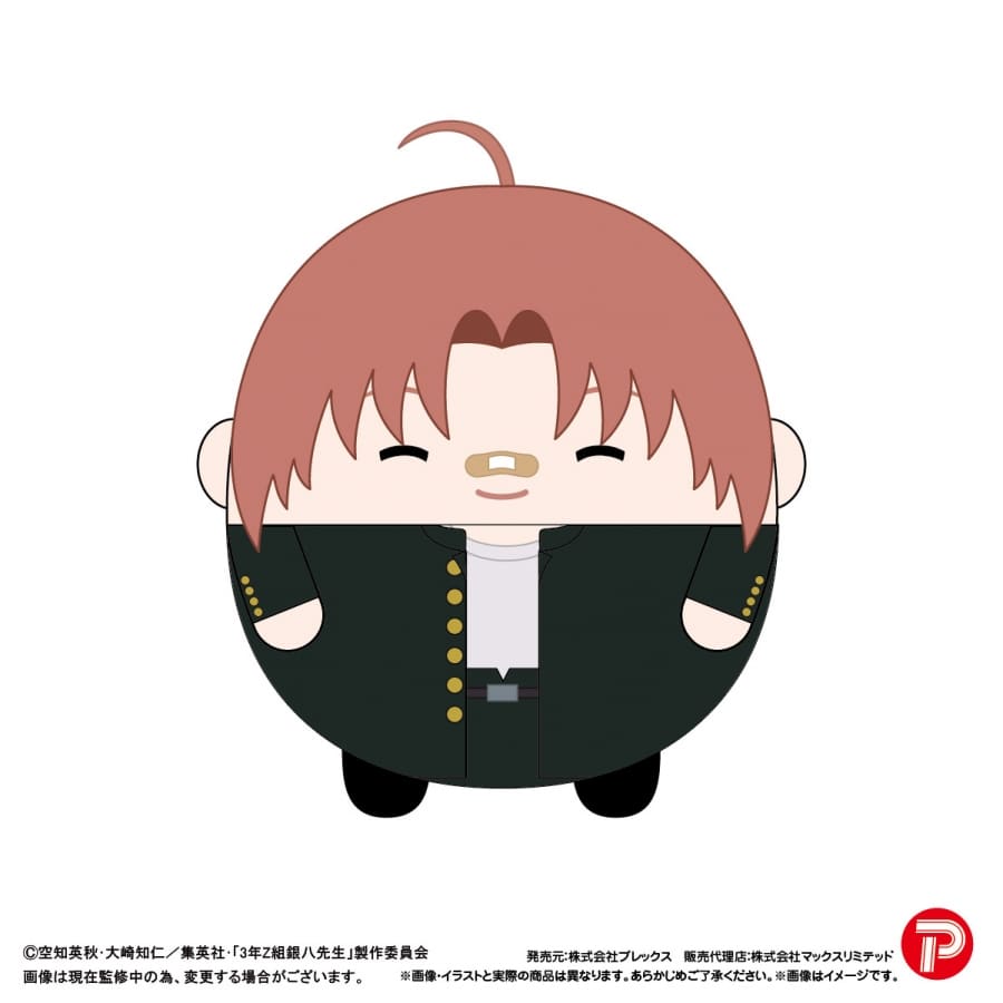 3年Z組銀八先生 ふわコロりんBIG H:神威
 
2026年03月発売