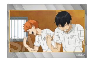 ハイキュー!! スタパネ ミニ vol.9 1
 
2025年11月発売