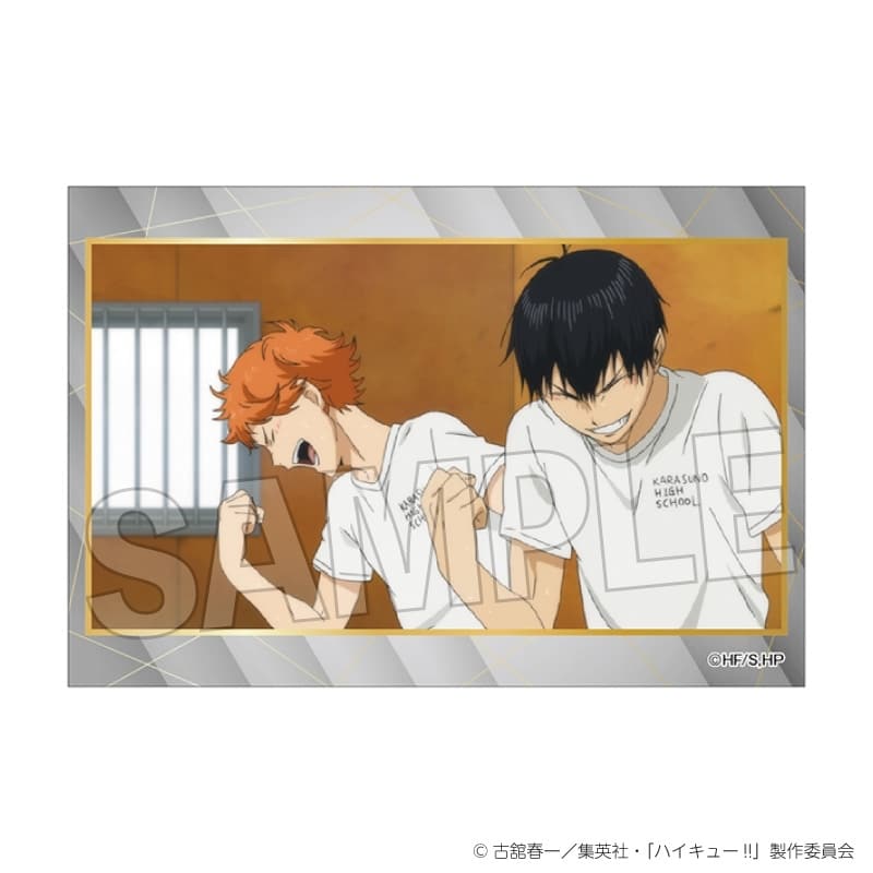 ハイキュー!! スタパネ ミニ vol.9 1
 
2025年11月発売