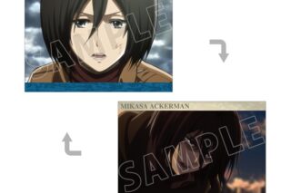 TVアニメ『進撃の巨人』 ミカサ 場面写A5イラストカード
 
2026年2月17日発売