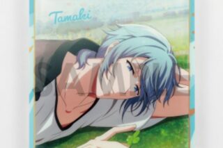 アイドリッシュセブン きらきらスタプレコレクション Vol.3 D.四葉環
 
2026年02月発売