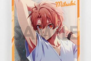 アイドリッシュセブン きらきらスタプレコレクション Vol.3 C.和泉三月
 
2026年02月発売