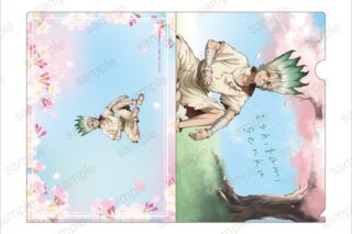 【Dr.STONE】 A4クリアファイル【エテルノレシ】
 アニメイトで
2026年03月発売