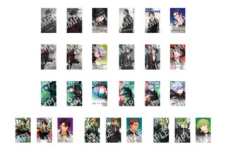 パラライ トレーディングプロフィールカード A 6th Anniversary
 アニメイトで
2026/01/24 発売