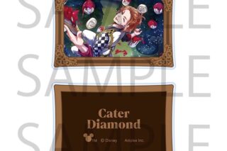 ツイステ アクリルクリップスタンド ケイト・ダイヤモンド アニメイトで
2026年04月発売