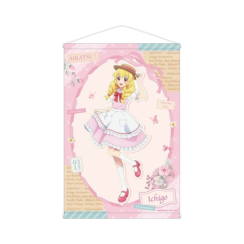 アイカツ! 10th STORY ～未来へのSTARWAY～ 描き下ろし 星宮いちご カントリーワンピースver. B2タペストリー
 アニメイトで
2025/11/08 発売