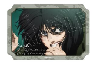 TVアニメ『進撃の巨人』 ピーク 場面写ダイカットステッカー
 
2026年2月17日発売