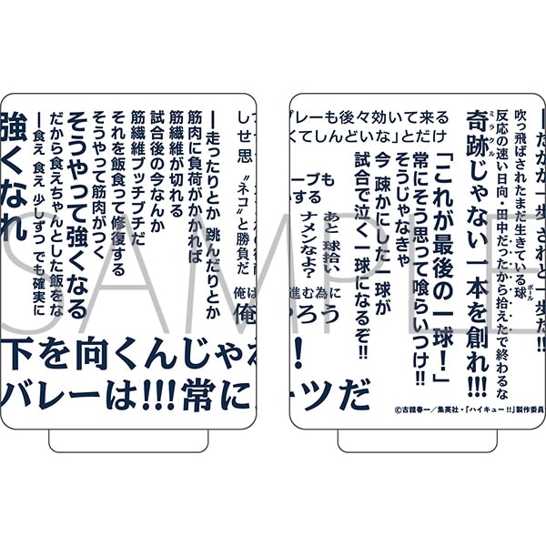 ハイキュー!! 湯呑み/烏養繋心
 アニメイトで
2025年12月26日発売