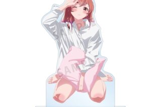 彼女、お借りします (かのかり) 描き下ろしイラスト 桜沢 墨 彼シャツver. 特大アクリルスタンド【再販】
 
2025年11月27日発売