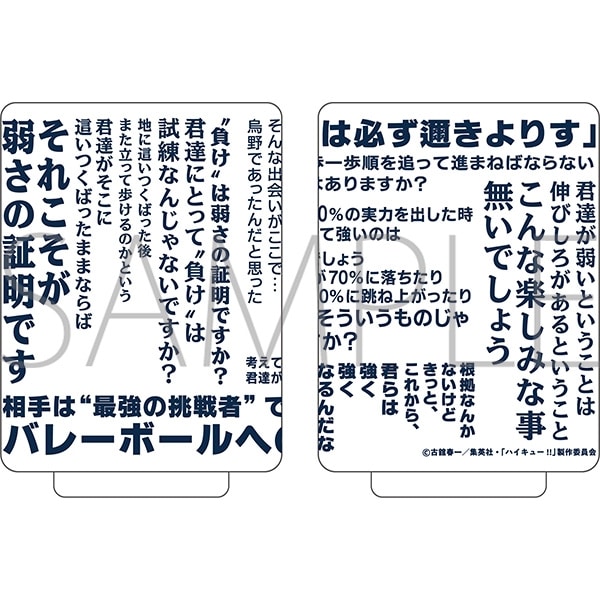 ハイキュー!! 湯呑み/武田一鉄
 アニメイトで
2025年12月26日発売