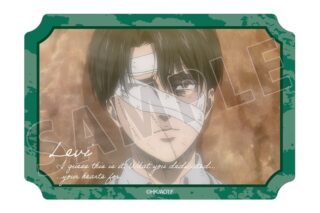 TVアニメ『進撃の巨人』 リヴァイ 場面写ダイカットステッカー vol.3
 
2026年2月17日発売