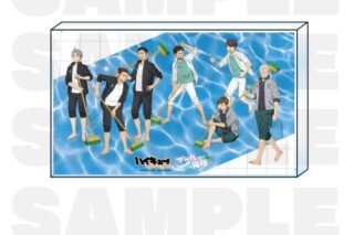 ハイキュー!! TOUCH THE DREAM アクリルブロック プール掃除
 
2025年12月1日発売