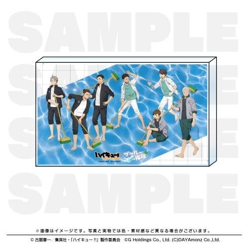 ハイキュー!! TOUCH THE DREAM アクリルブロック プール掃除
 
2025年12月1日発売