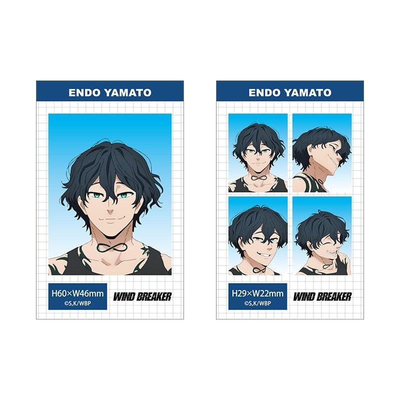 ウィンドブレイカー (ウィンブレ) 証明写真風ブロマイドセット【棪堂哉真斗】
 
2026年01月発売