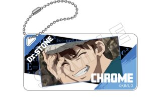 Dr.STONE NEW WORLD ドミテリアキーチェーン クロム【再販】
 アニメイトで
2026年01月発売