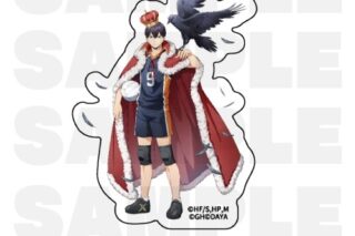 ハイキュー!! TOUCH THE DREAM ダイカットステッカー 影山飛雄
 アニメイトで
2025年12月1日発売