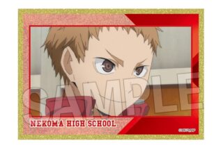 ハイキュー!! 場面写アクリル色紙プレミアム 4
 
2025年12月発売
で取扱中