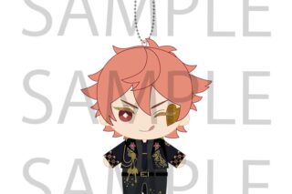 ツイステ 「Disney Twisted-Wonderland 3D Magical Live -Blazing Jewel-」 ミニミニぬいぐるみ(ブレイジング・ジュエルver.) エース・トラッポラ アニメイトで
2026年03月発売