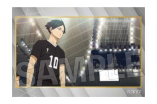 ハイキュー!! スタパネ ミニ vol.9 27
 
2025年11月発売
で取扱中