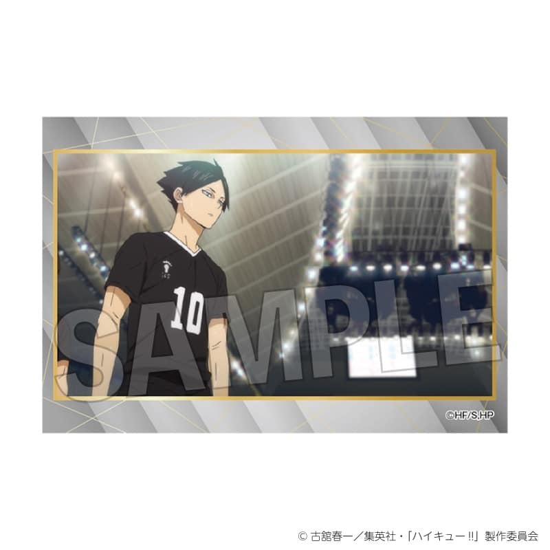 ハイキュー!! スタパネ ミニ vol.9 27
 
2025年11月発売
で取扱中