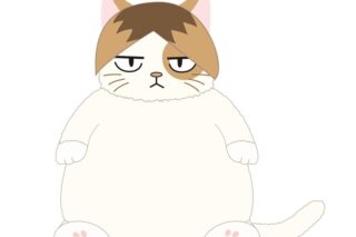 ハイキュー!! ねこ肯定感 ケンマネコ
 
2026年2月22日発売
で取扱中
