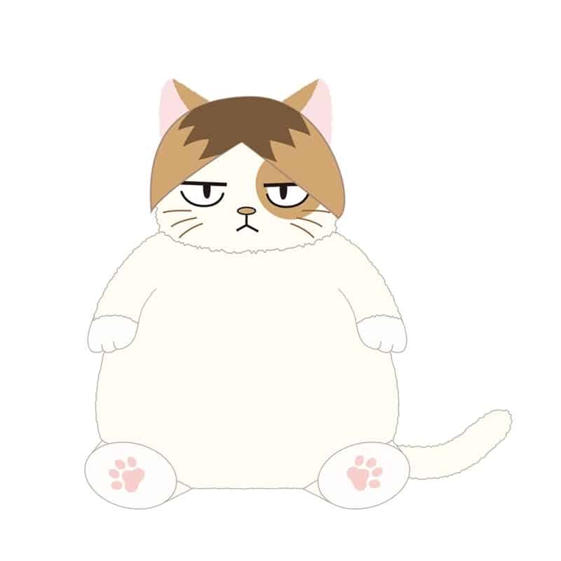 ハイキュー!! ねこ肯定感 ケンマネコ
 
2026年2月22日発売
で取扱中