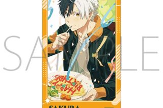 ウィンドブレイカー (ウィンブレ) チケコレ
 
2026年01月下旬発売