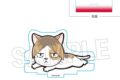 ハイキュー!! ひっかけアクリルスタンド ケンマネコ キャラアニで
                                                2025年12月発売