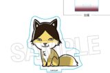 ハイキュー!! ひっかけアクリルスタンド スナギツネ キャラアニで
                                                2025年12月発売