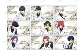 ブルーロック 描き下ろし スーツモデルver. 第2弾 トレーディングアクリルカード 【1BOX】 キャラアニで
                                                2026年2月発売