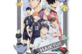 アニメ「ハイキュー!!」 アートデコレーションジグソーパズル108ピース108-DP12 ※2026年3月
 エンスカイで2026年3月
発売