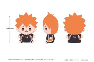 ハイキュー!! もっちび ぬいぐるみ 日向翔陽
 アニメイトで
2026年1月16日発売