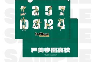ハイキュー!! TOUCH THE DREAM クリアファイル 戸美学園高校
 
2025年12月1日発売
で取扱中