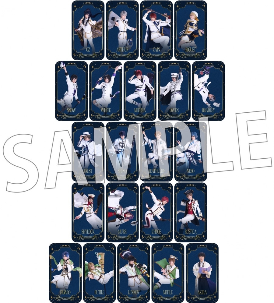 舞台『魔法使いの約束』きみに花を、空に魔法を　前編 ランダムマジカルカード
 アニメイトで
2025/09/03 発売