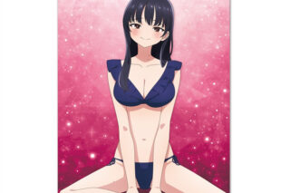 僕の心のヤバイやつ B2タペストリーD[山田杏奈]
 アニメイトで
2026年02月上旬発売