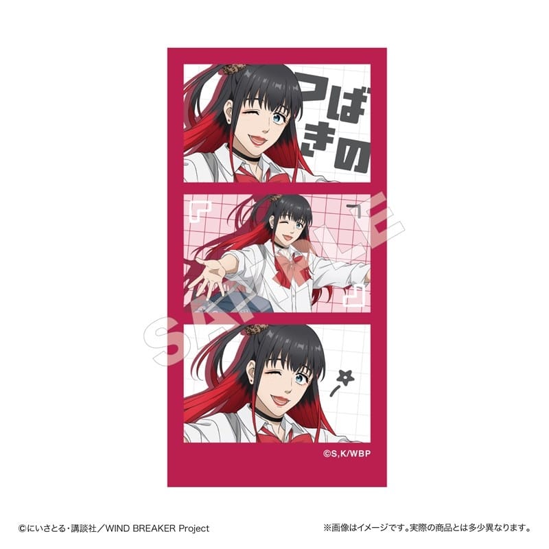 ウィンドブレイカー (ウィンブレ) ステッカー 椿野 佑
 
2026年01月下旬発売