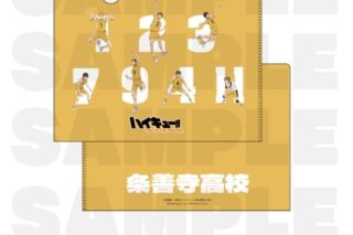 ハイキュー!! TOUCH THE DREAM クリアファイル 条善寺高校
 
2025年12月1日発売
で取扱中