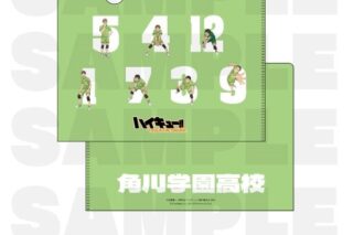 ハイキュー!! TOUCH THE DREAM クリアファイル 角川学園高校
 
2025年12月1日発売
で取扱中