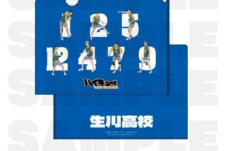 ハイキュー!! TOUCH THE DREAM クリアファイル 生川高校
 
2025年12月1日発売
で取扱中
