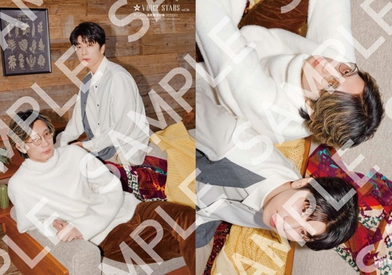 VOICE STARS Vol.36 通常版 アニメイトで
2025/12/24 発売