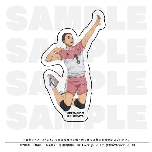 ハイキュー!! TOUCH THE DREAM ダイカットステッカー 中島猛
 
2025年12月1日発売