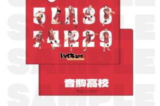 ハイキュー!! TOUCH THE DREAM クリアファイル 音駒高校
 
2025年12月1日発売
で取扱中