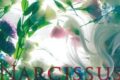 Rayflower/Narcissus アニメイトで
2014/02/19 発売