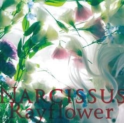 Rayflower/Narcissus アニメイトで
2014/02/19 発売