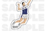 ハイキュー!! TOUCH THE DREAM ダイカットステッカー 十和田良樹
 
2025年12月1日発売